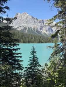 Screenshot 2026-01-10 at 9.14.32 PM