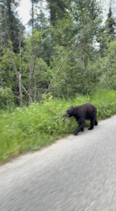 Screenshot 2026-01-10 at 9.24.01 PM