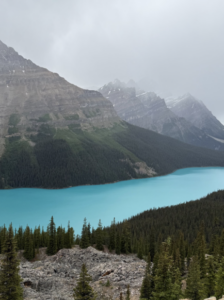 Screenshot 2026-01-12 at 9.44.52 PM