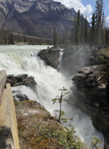 Screenshot 2026-01-12 at 9.45.19 PM